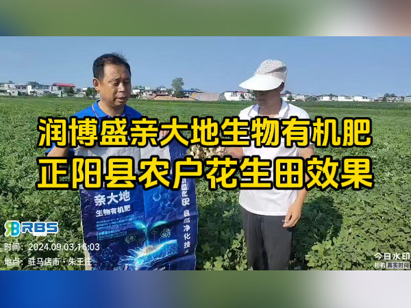 正阳县农户使用润博盛亲大地生物有机肥花生田效果